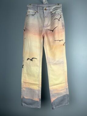 BDG Urban Outfitters ombre Seagull Cowboy Jeans